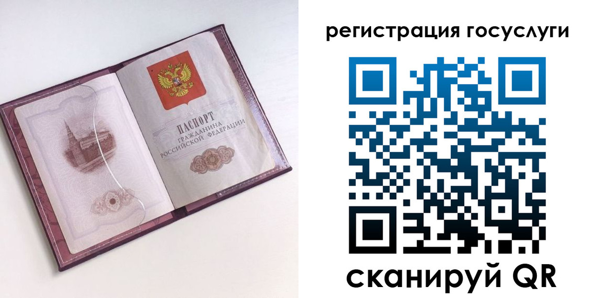 прописка гарантия в Волгограде
