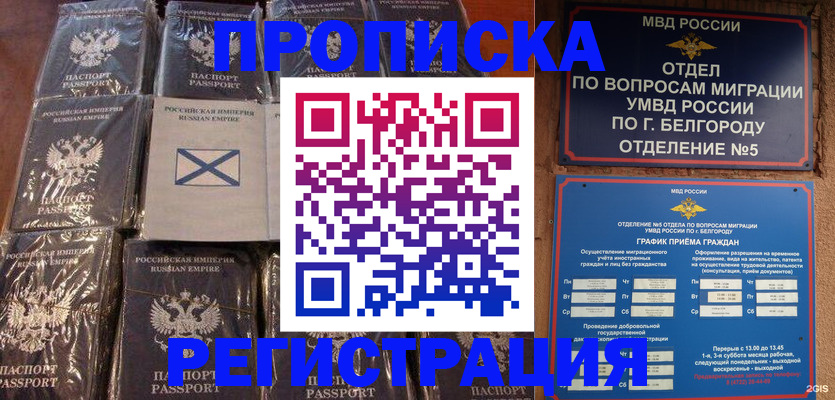прописка гарантия в Волгограде